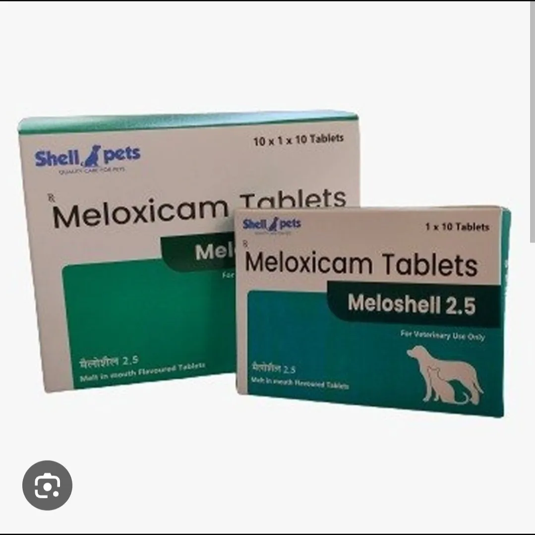 Meloxicam Tablets for Animals – Veterinary Pain Relief & Anti-Inflammatory Medicine Exporter from In