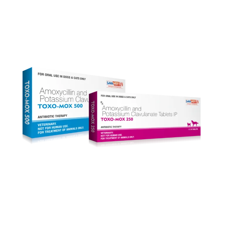 Toxo-Mox Tablet Dropshipper and Exporter in singapore,usa,uk,uae,canada by Ernest Pharmaceutical image 1