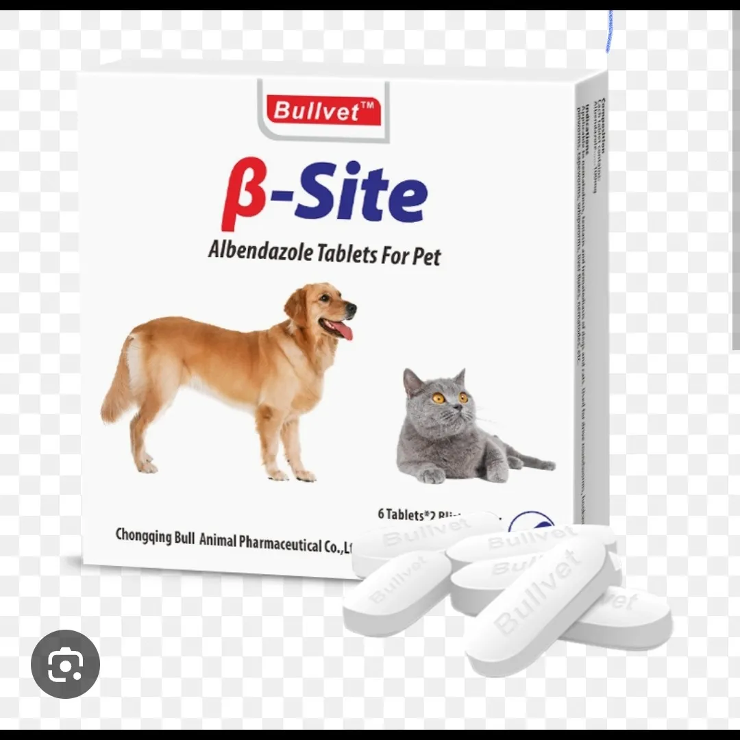 Albendazole Tablets for Animals ā Veterinary Deworming Solution | Global Exporter from India | Fast