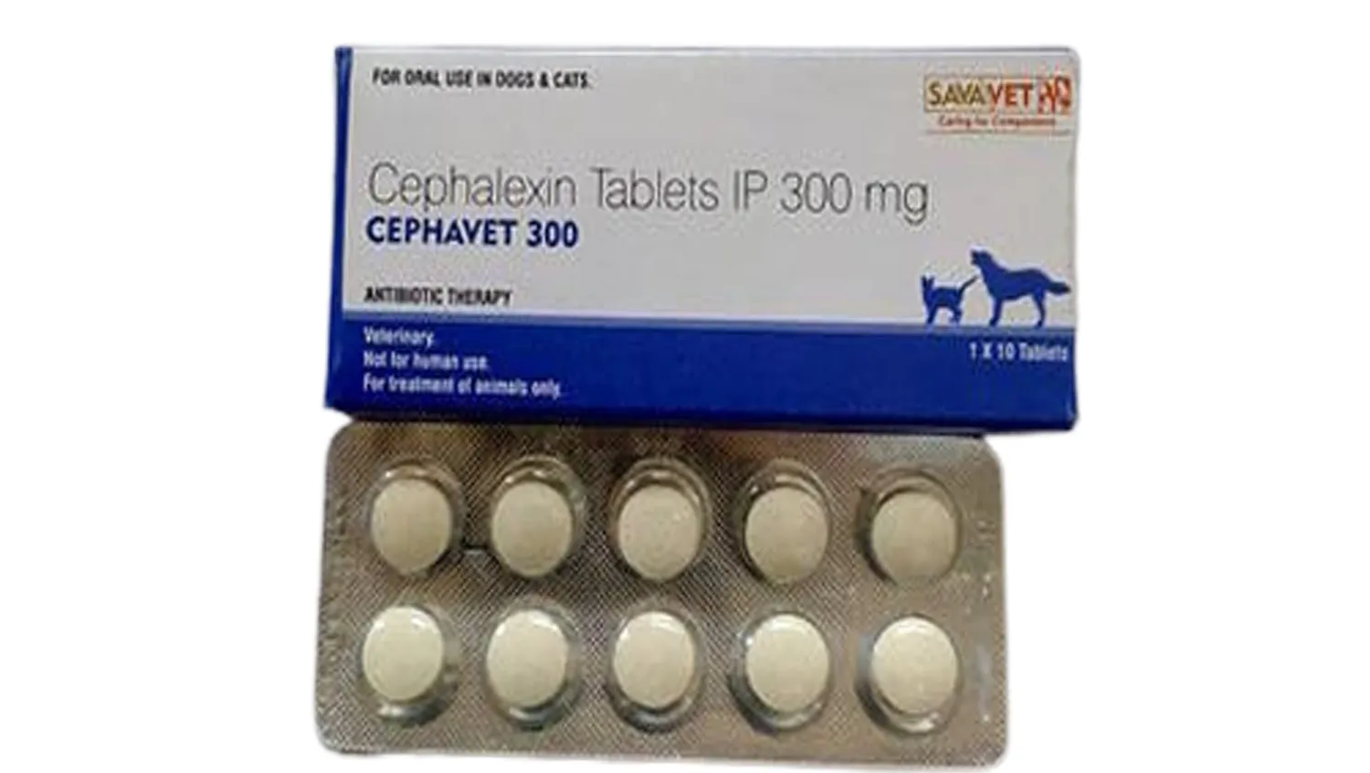 Cephalexin 300mg Veterinary Tablet – Broad-Spectrum Antibiotic for Pets | Global Export from India image 1