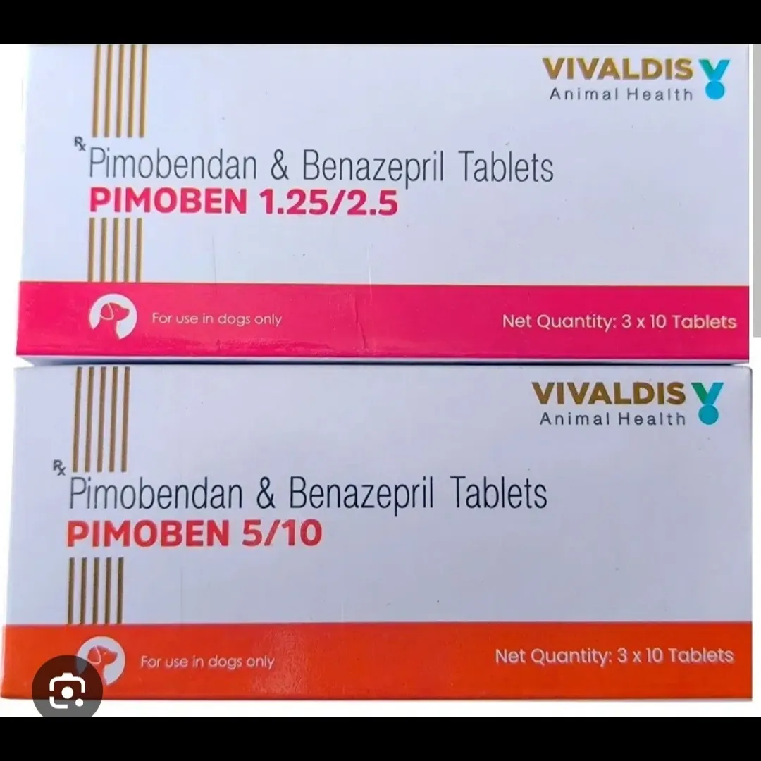 Pimobendan + Benazepril 5 mg / 10 mg Tablet for Dogs – Veterinary Cardiac Care | Cordium Pharmaceuti