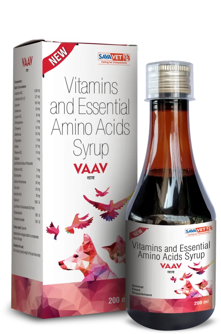 VAAV Syrup Dropshipper and Exporter in singapore,usa,uk,uae,canada by Ernest Pharmaceutical image 1