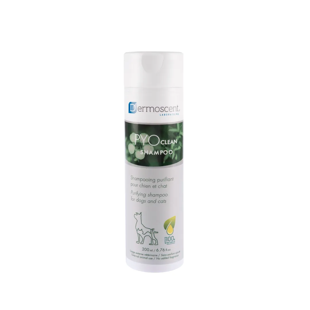 Order Essential Oils, Hemp Seed Oil And Propolis Now. image 1