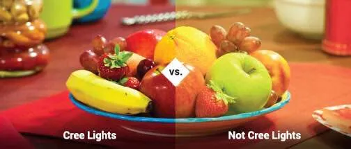 It's not your imagination — it's science. Cree® LE...