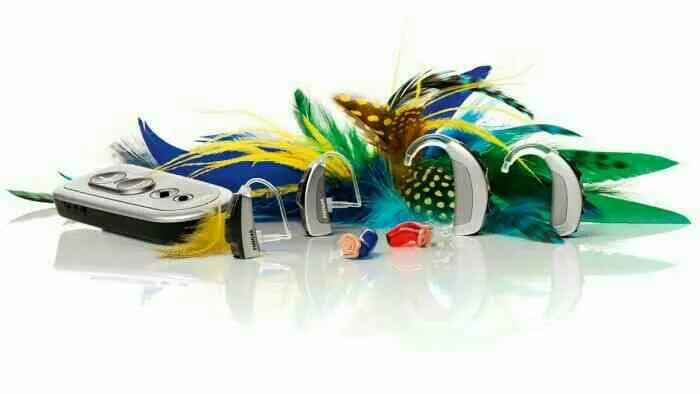 We help to choose the best hearing aid of 2017. Bo...