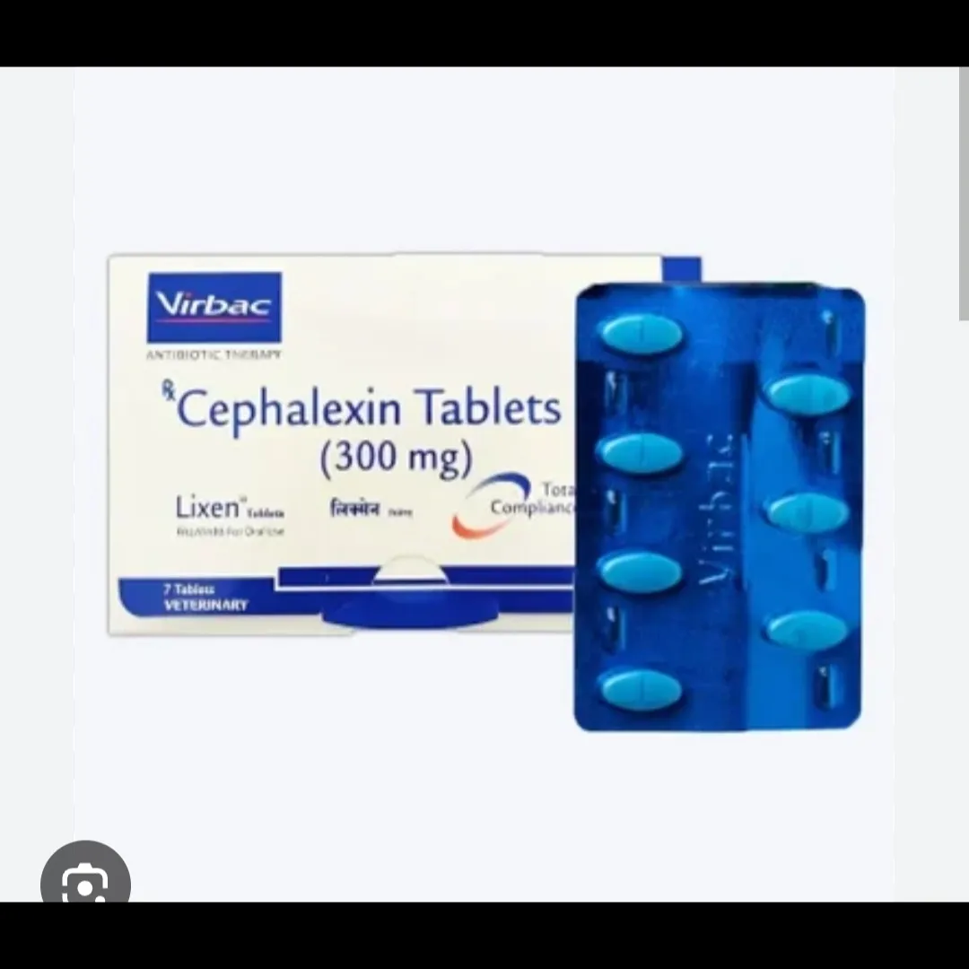 Cephalexin 300 mg Tablet for Animals – Veterinary Antibiotic Exporter India | Cordium Pharmaceutical