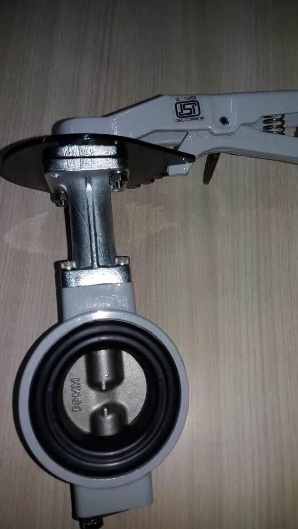 ALUMINIUM BUTTERFLY VALVE INDIA
ALUMINIUM PRESSUR...