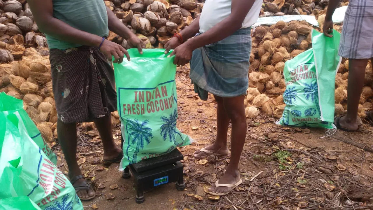 Coconut Copra
Coconut Copra Supplier Pollachi, ...