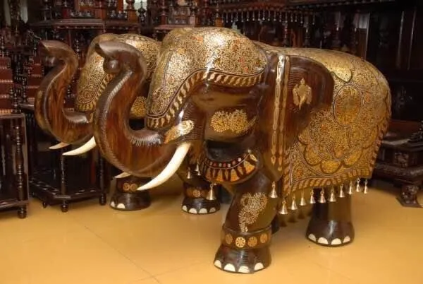 Sairay Rosewood Emporium have got Huge collection ...