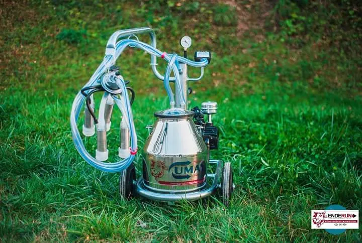 SingleBucket Milking Machines Price Rs 35000
Feau...