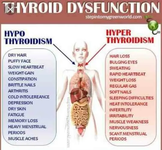 Thyroid disease treatment in homeopathy
Homeopath...