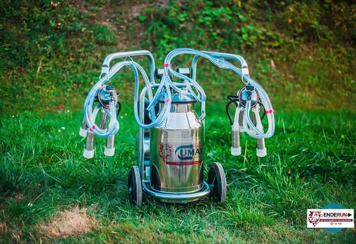 Looking For Milking Machines , Your Search Ends He...