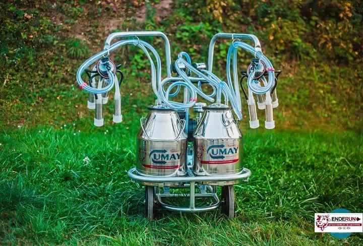 Facing Labour Problem In Your Dairy Farm, Why To W...