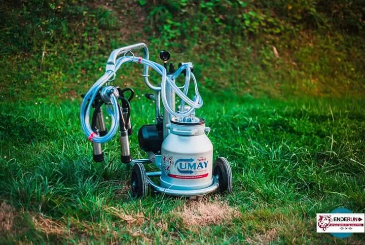 Are You Planning To Buy Milking Machine For Milki...