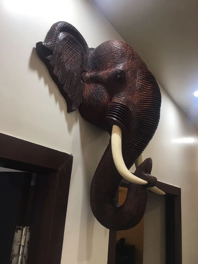 Rosewood Elephant Face,
Elephant Face in natural...