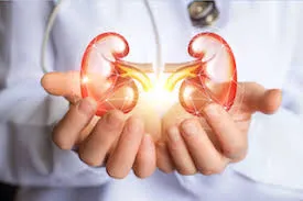 The theme for World Kidney Day in 2018 is "Include...