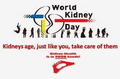 Kidneys are the most important organ of our body a...