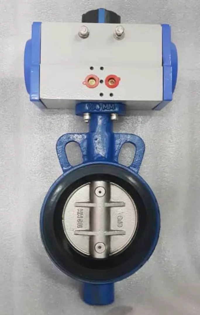 PNEUMATIC BUTTERFLY VALVE
BUTTERFLY VALVE WITH DO...