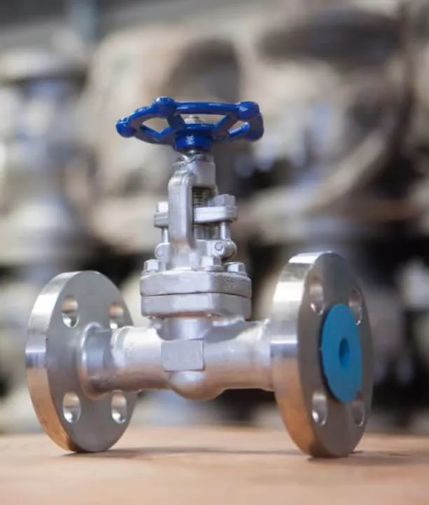 FORGED STEEL GLOBE VALVE MANUFACTURER & SUPPLIER I...