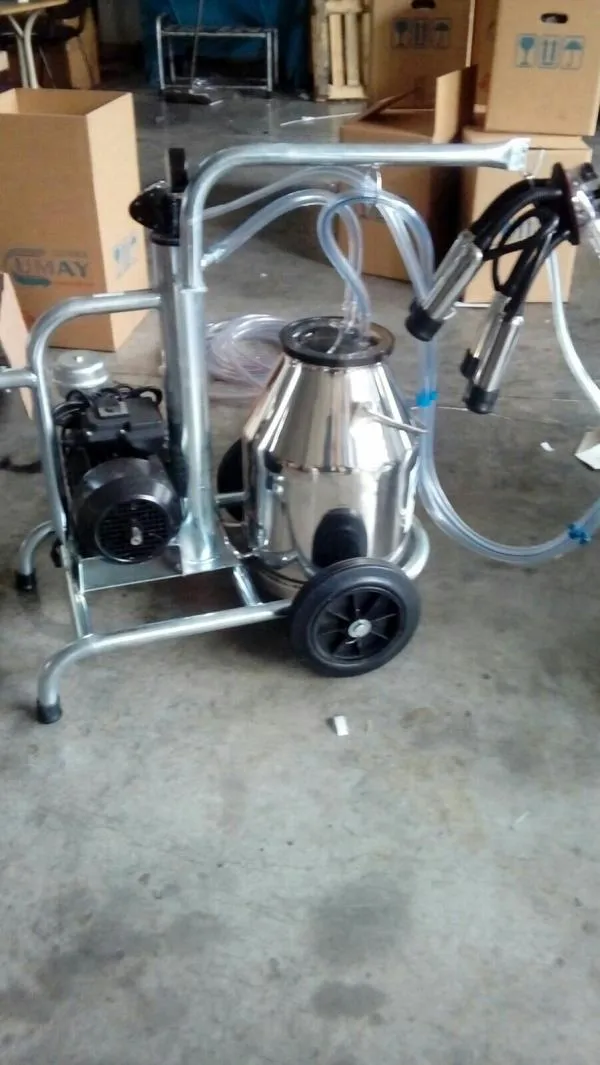 Are You Looking For Manufacturer , Suppliers & Exp...