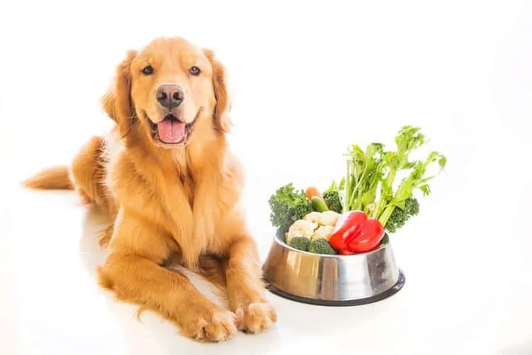 Don't begin mixing pet foods without first consul...