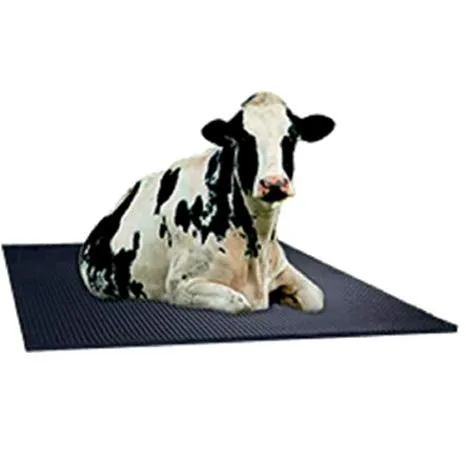 Cow Mats
Are You Searching The Cow Mats For Cows ...