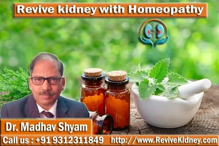 Nano homeopathy
Kidney failure
Kidney failure is c...