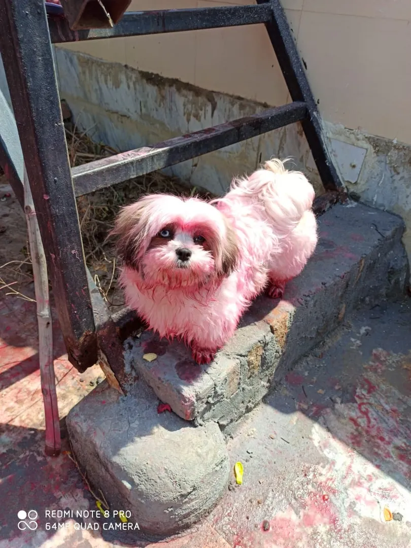 Daisy@Bunny Bharadwaj enjoying Holi in terrace gar...