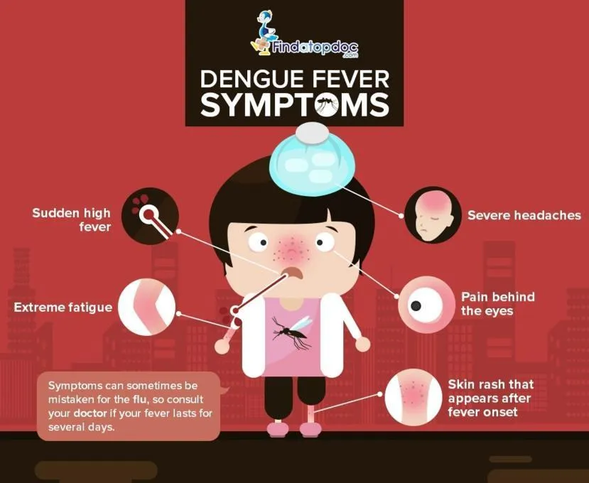Dengue fever.....don't neglect it!
Dear friends,
...