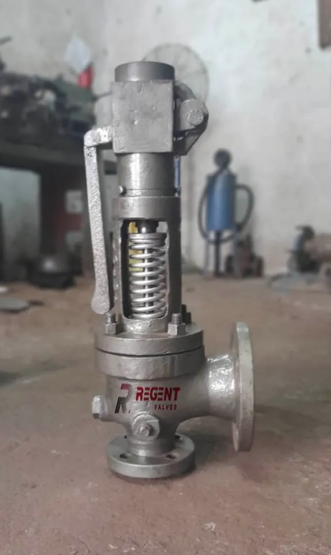 IBR Safety Valve
Pressure Relief Valve
Reactor S...