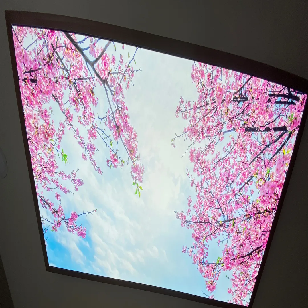 Stretch Ceiling:-Hyderabad
Unique and Elegant Int...