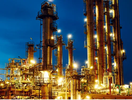 strength Plant Annual preservation offerings
Get p...
