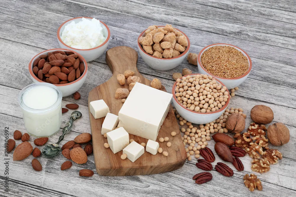 Training Of Soya Milk/Soya Paneer/ Tofu Offered B...