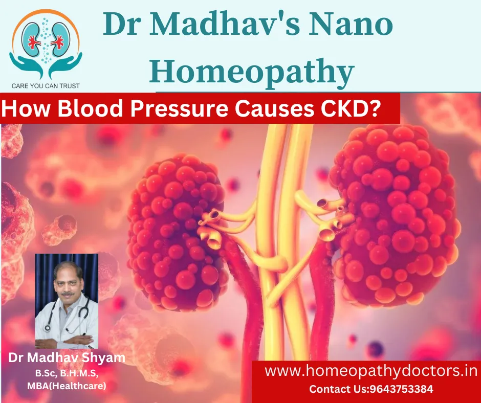 How High Blood Pressure Can Lead to Kidney Damage ...