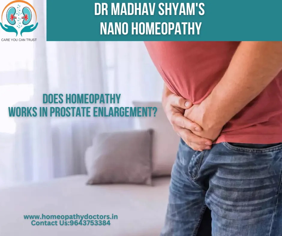 The prostate gland is an organ in reproductive ana...