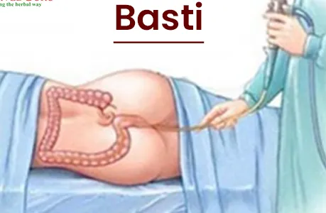 Basti Treatment in Ayurveda: Harnessing the Power ...