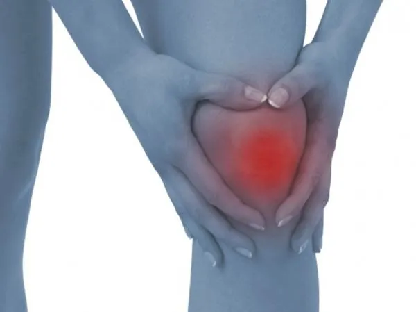 Osteoarthritis of the knee affects the bones, cart...