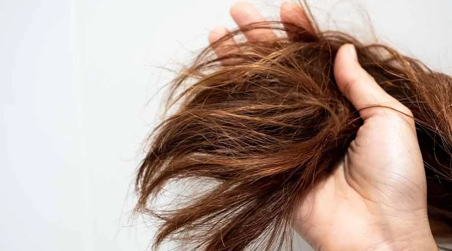 Why is your hair so dry? Having dry hair can be a ...