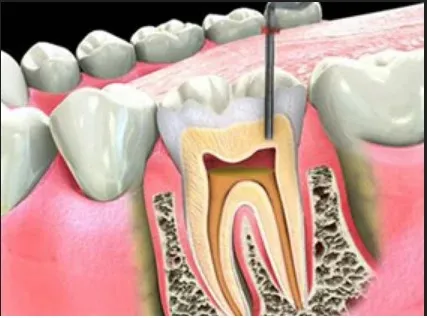dental clinic in Gaur city
PD Dental Clinic and I...