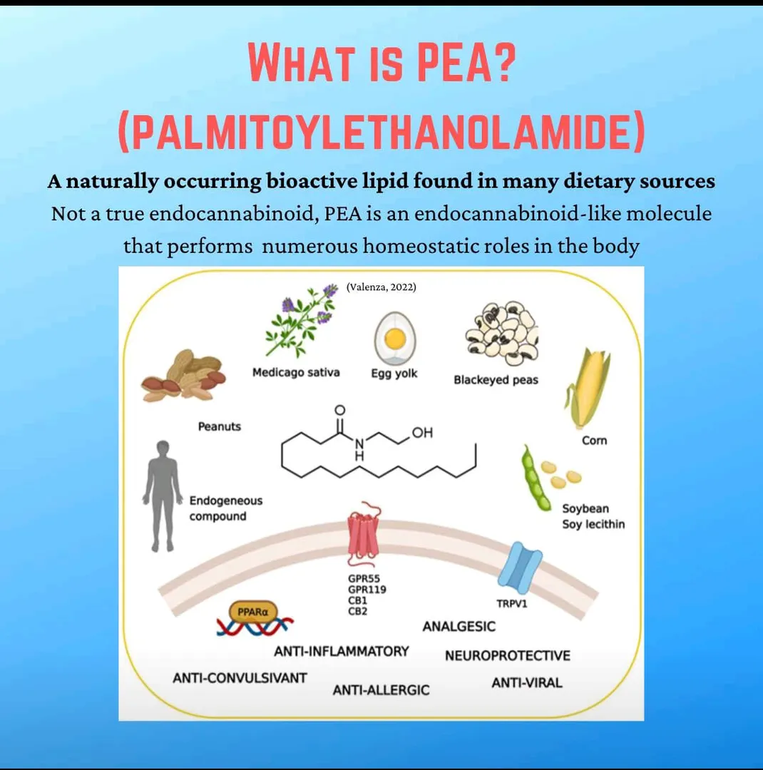 we manufacturer exporter of PEA, Palmitoylethanola...
