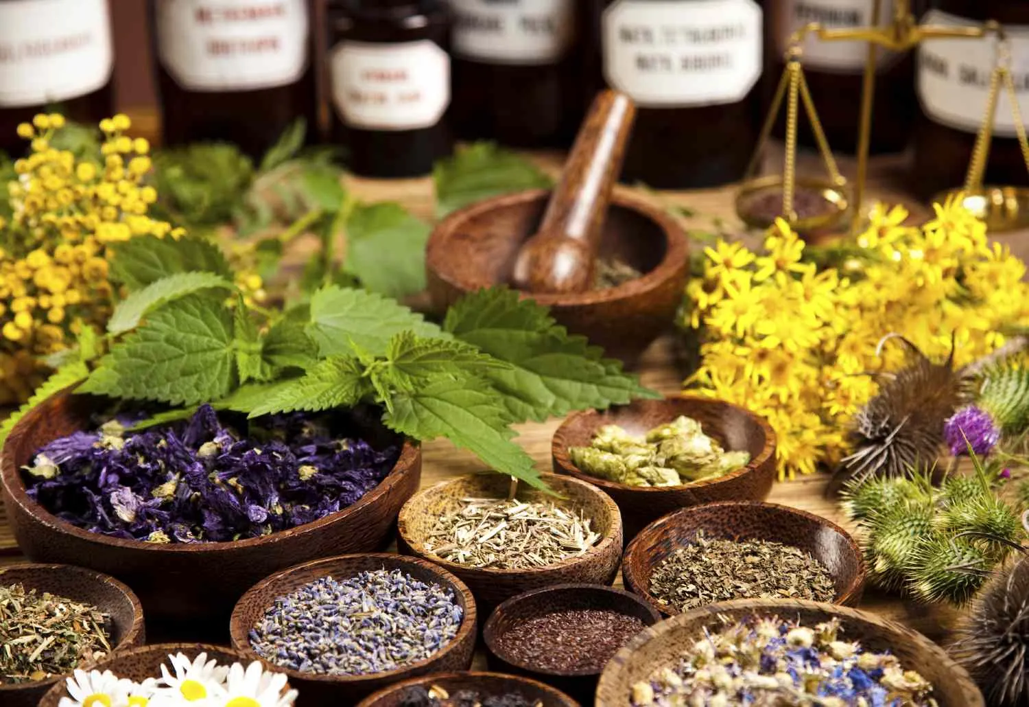 Experience Traditional Wellness at Shree Homoeopat...