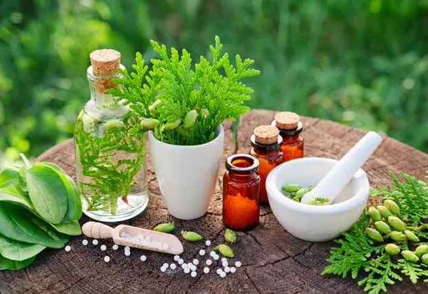 Best homeopathy doctor avialable in wagholi pune.
...