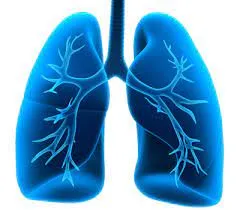 Comprehensive Chest Care Tailored to You Galaxy Ch...