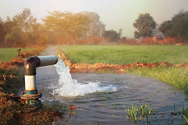 "Zaapcon India Pvt Ltd: Your Reliable Source for I...