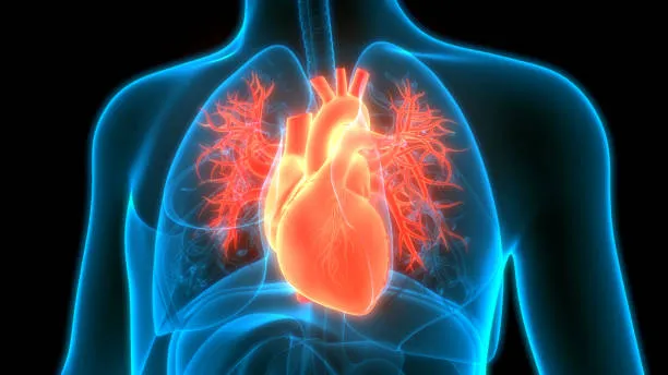 Where Every Heartbeat Matters: Dr K G Deshpande Me...