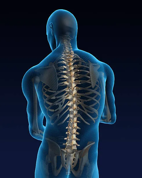 Orthopedic Doctor Near Me If you're searching for ...