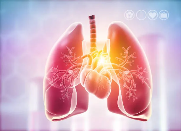 Your Breathing Journey Begins with Galaxy Chest &a...