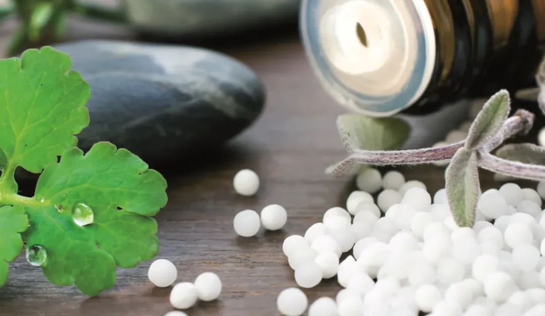 "Shree Homoeopathic Clinic: Your Path to Natural H...