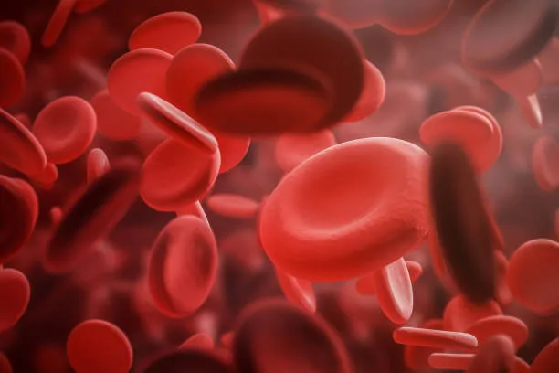 "Best Pediatric Hematologist in Nagpur - Your Chil...