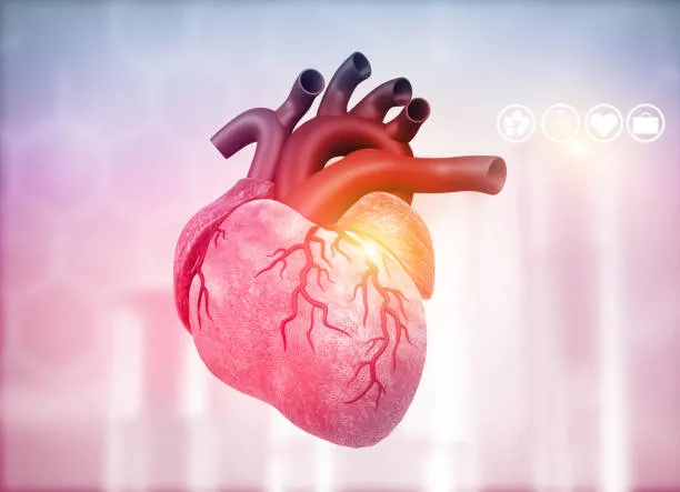 "Comprehensive Guide to Cardiovascular Health at D...